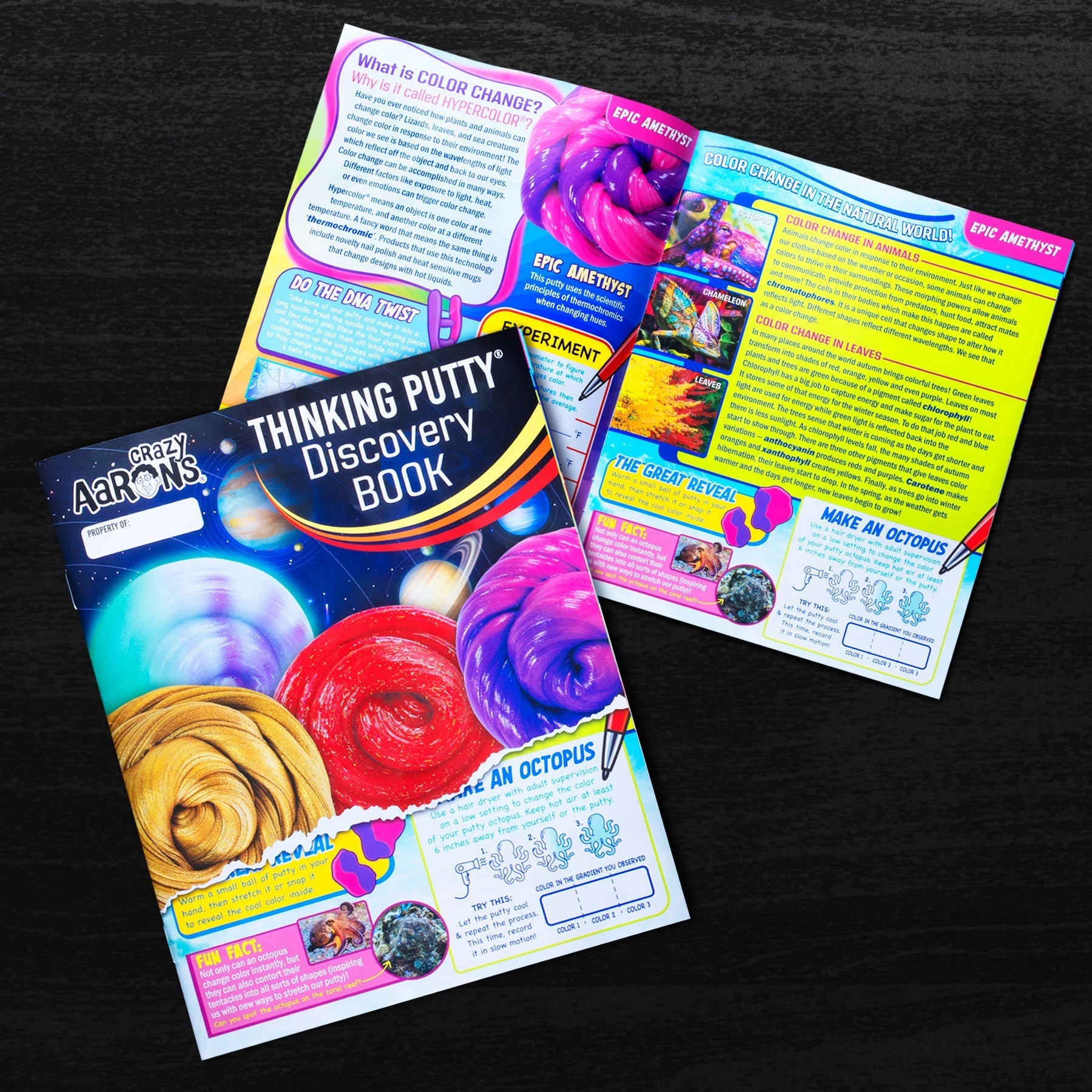 Putty Discovery Kit TM
